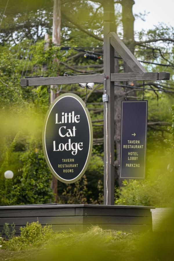 Little Cat Lodge Hillsdale Экстерьер фото